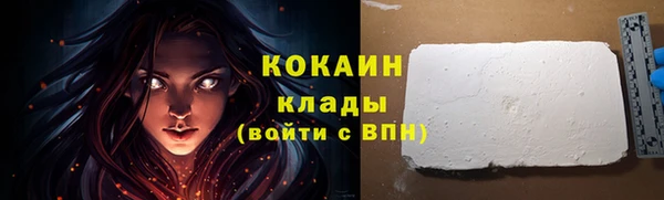 соль ск Алзамай