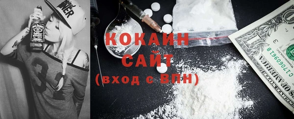 соль ск Алзамай