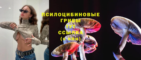 соль ск Алзамай
